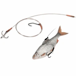 Dood Aas Takel Voor Dobber Visserij