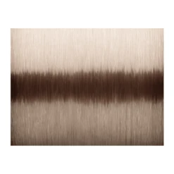 Voorkant -Visuitrusting Savage Gear nylon Silencer Mono1