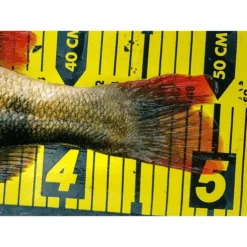 Spro Ruler 150 -Visuitrusting Spro Ruler 150 3