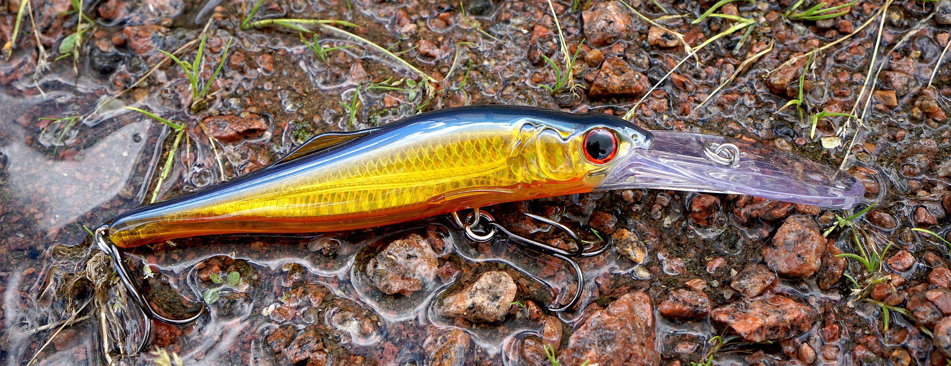 Voorkant -Visuitrusting fishing gear 1563251 1920